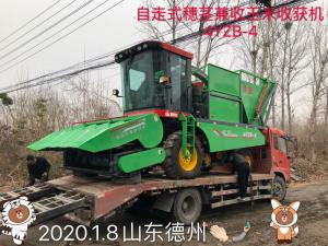 山東德州訂購自走式穗莖兼收玉米收獲機(jī)